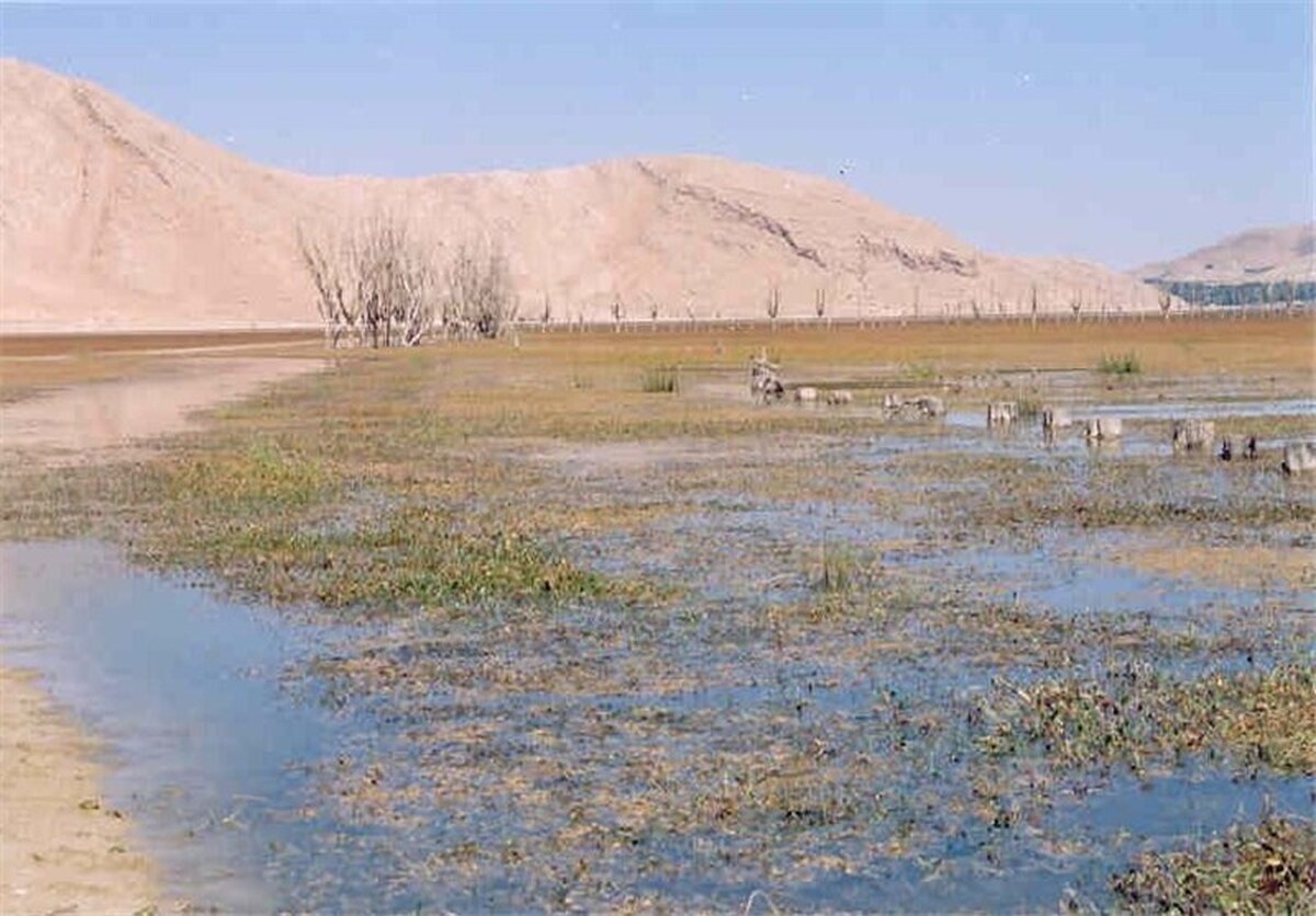 بحران خشکسالی در تالاب‌های چهارمحال و بختیاری/ ریه تنفسی شهرکرد از بین رفت