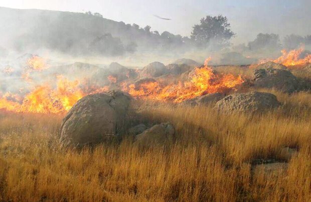 آتش در «جنگل‌های نارک» گچساران دوباره شعله ور شد