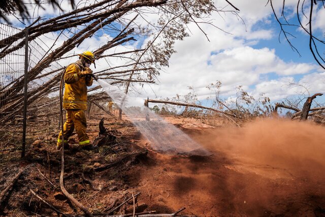 مجموع قربانیان آتش‌سوزی‌های گسترده جنگلی در ایالت هاواییِ آمریکا به ۹۹...