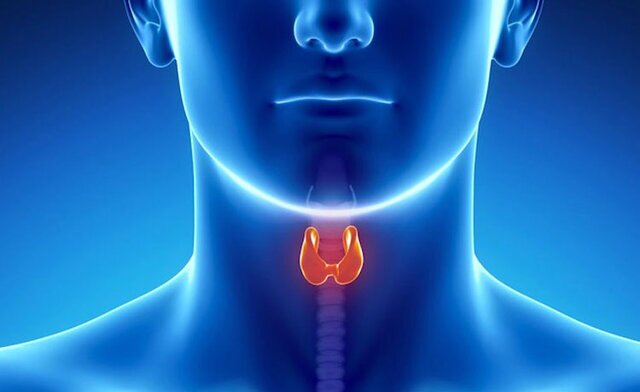 7 عادت خطرناک که سلامت تیروئید را نشانه می‌گیرد