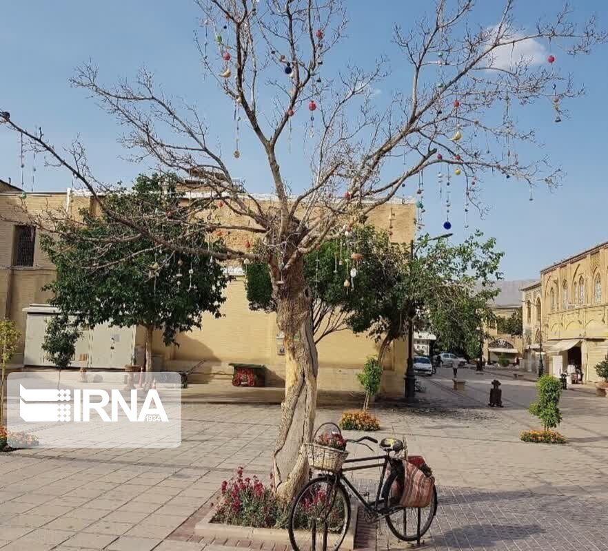 عکس| ماجرای قطع درخت آرزو‌ها در شیراز چیست؟
