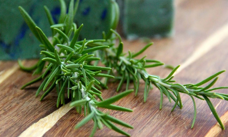 اثرات ضد انعقادی این گیاه معجزه میکند