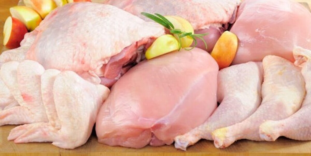گرانفروشان مرغ در فضای مجازی، جریمه شدند