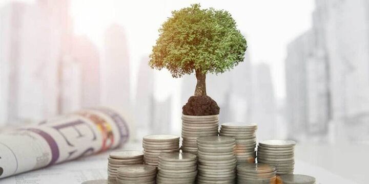 راهنمایی برای سرمایه‌گذاری هوشمندانه: اصول و ریسک‌ها