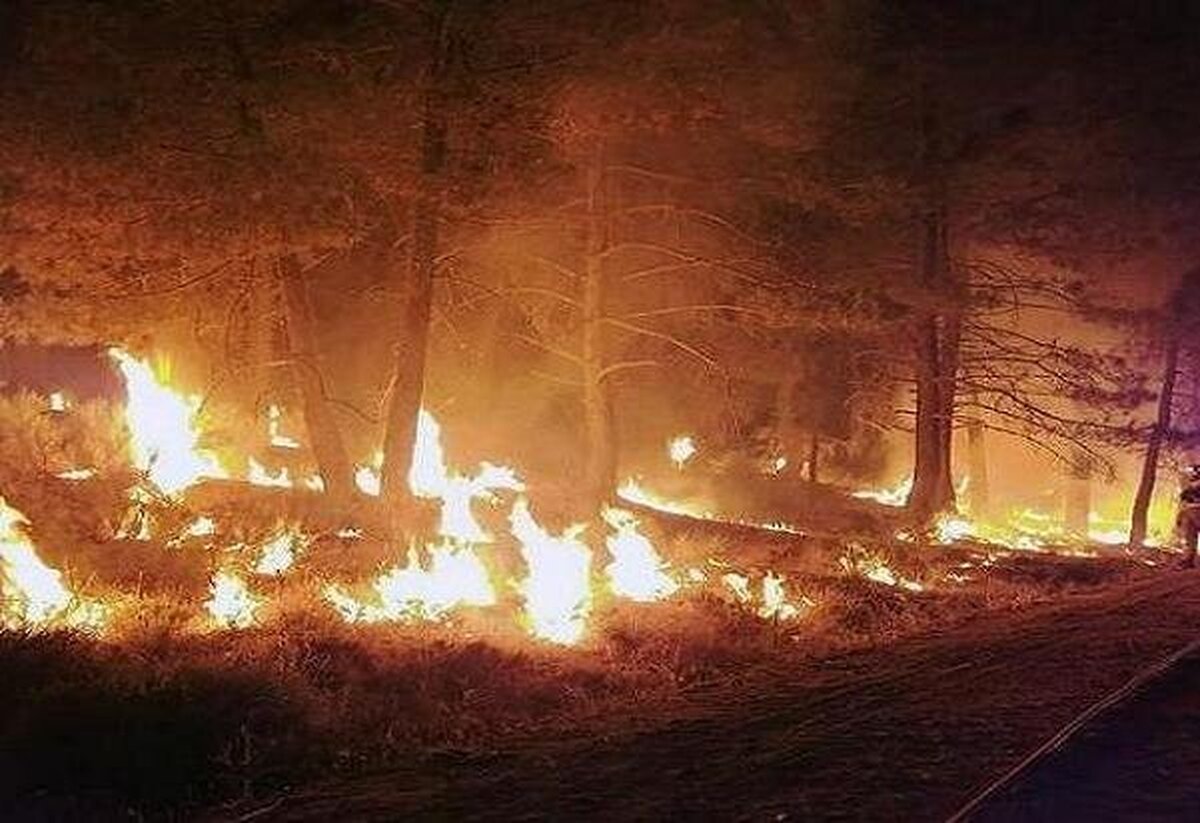 جنگل‌های باشت در آتش می‌سوزد