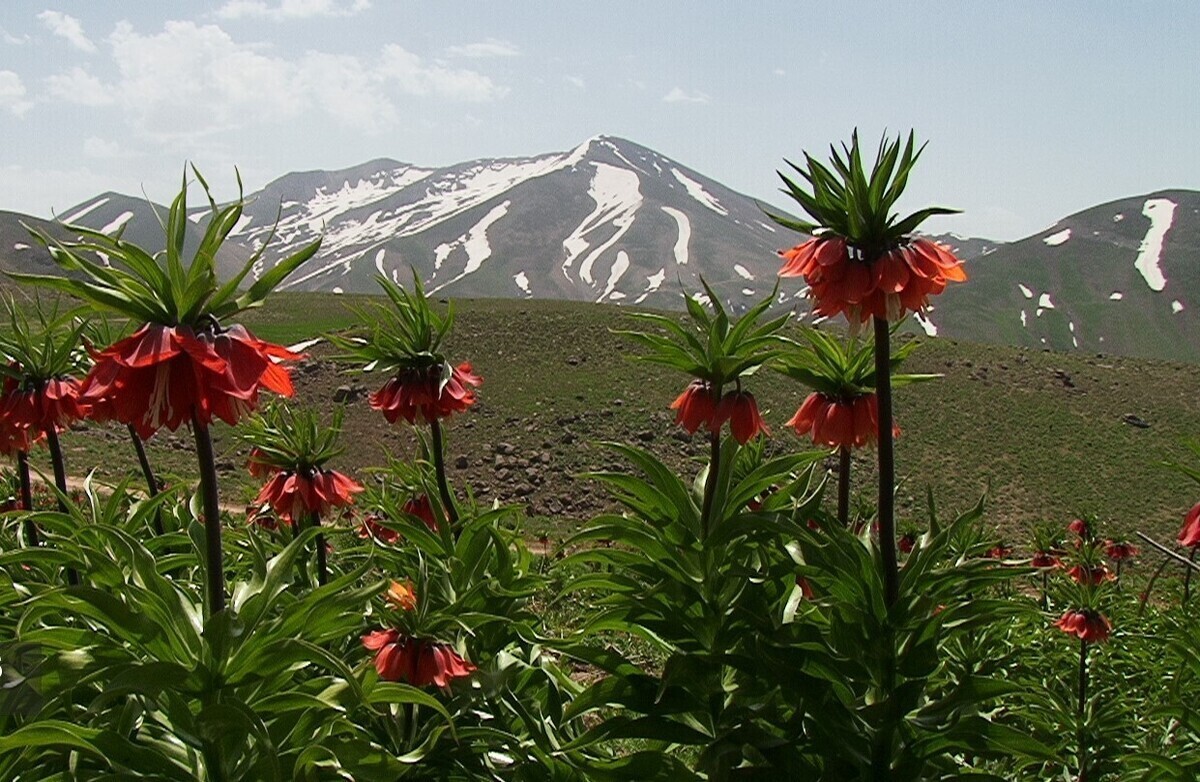 فیلم| نمایی چشم‌نواز 