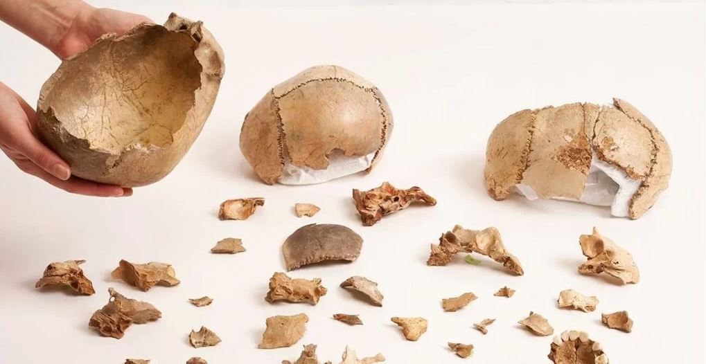 عکس| کشف قدیمیترین شواهد آدمخواری به عنوان یک شیوه تدفین عکس| کشف قدیمیترین شواهد آدمخواری به عنوان یک شیوه تدفین