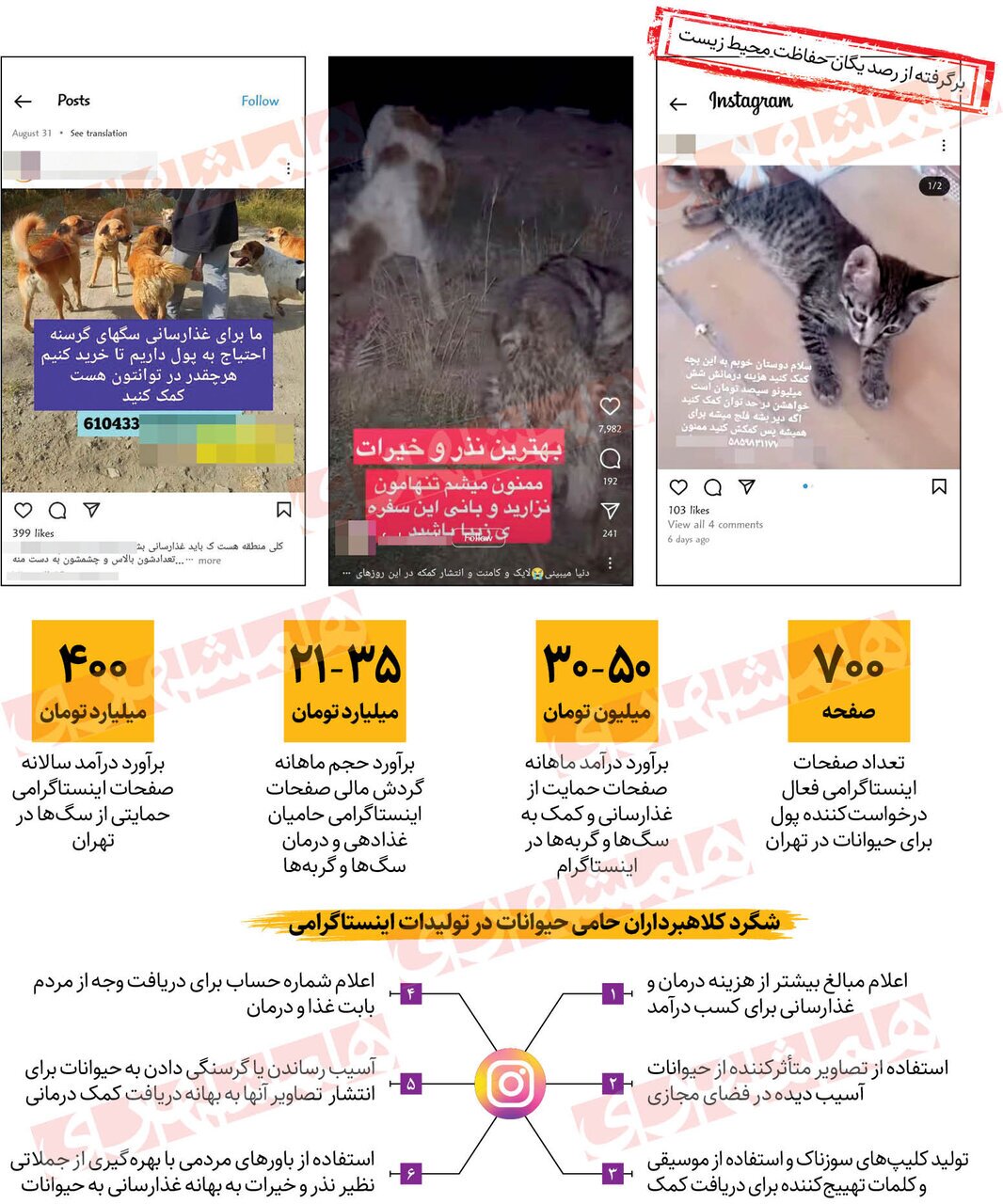 مافیای سگبازها و گربهبازها به بهانه غذا دادن به آنها، درآمدهای میلیاردی به جیب میزنند مافیای سگبازها و گربهبازها به بهانه غذا دادن به آنها، درآمدهای میلیاردی به جیب میزنند