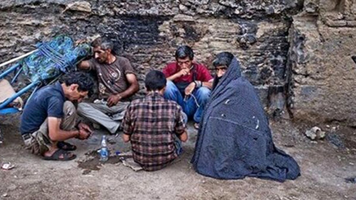 فیلم| جمع‌آوری ۳۴۰۰ معتاد متهاجر/ امکانات باشد ۳ روزه مابقی هم جمع‌آوری می‌شوند