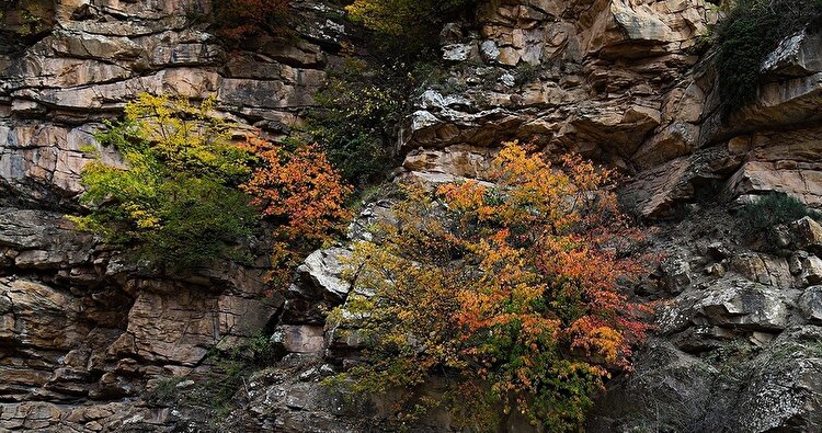 تصاویر| طبیعت پاییزی «جاده چالوس»