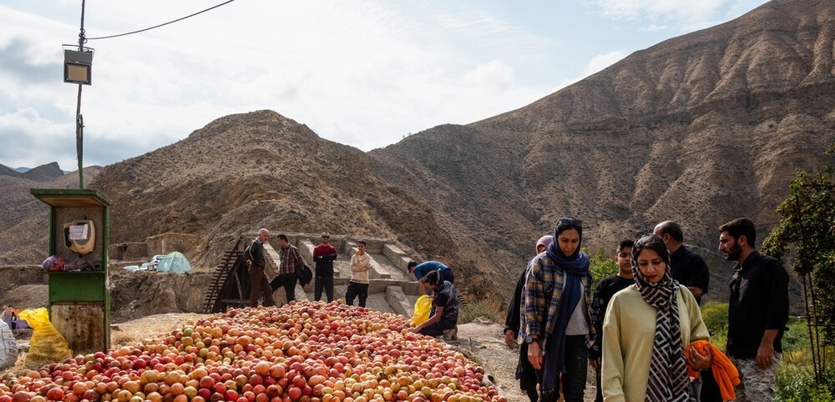 تصاویر| جشن انار در روستای انبوه رودبار