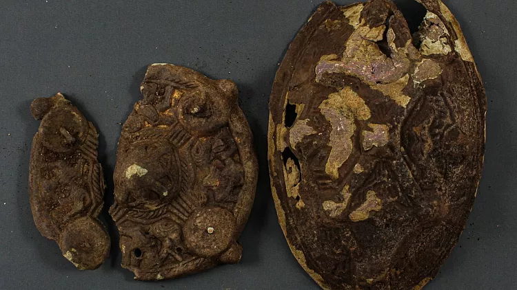 عکس| تلاش برای پیدا کردن گوشواره گمشده در حیاط خانه، خانواده را به گنجینه هزارساله رساند عکس| تلاش برای پیدا کردن گوشواره گمشده در حیاط خانه، خانواده را به گنجینه هزارساله رساند