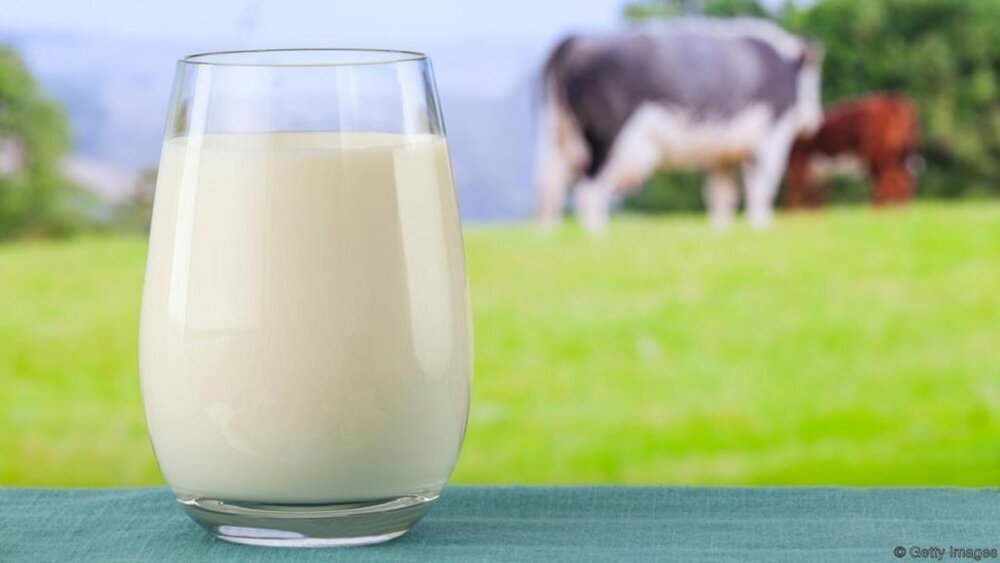 در مصرف شیر زیاده‌روی نکنید/ نشانه‌های زیاده‌روی در مصرف شیر