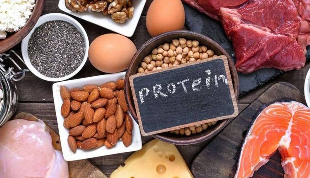 درباره پروتئین‌های گیاهی بیشتر بدانیم