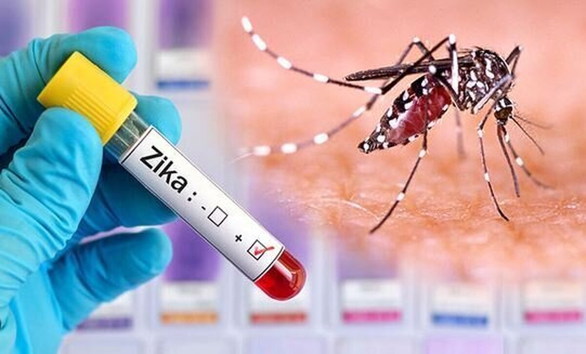 ویروس «زیکا» چیست؟ / علائم و نشانه‌های عفونت ویروسی زیکا