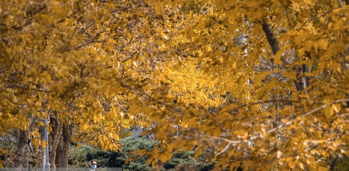 کاهش محسوس دمای تهران از چهارشنبه/ فیروزکوه، پربارش‌ترین ایستگاه هواشناسی تهران