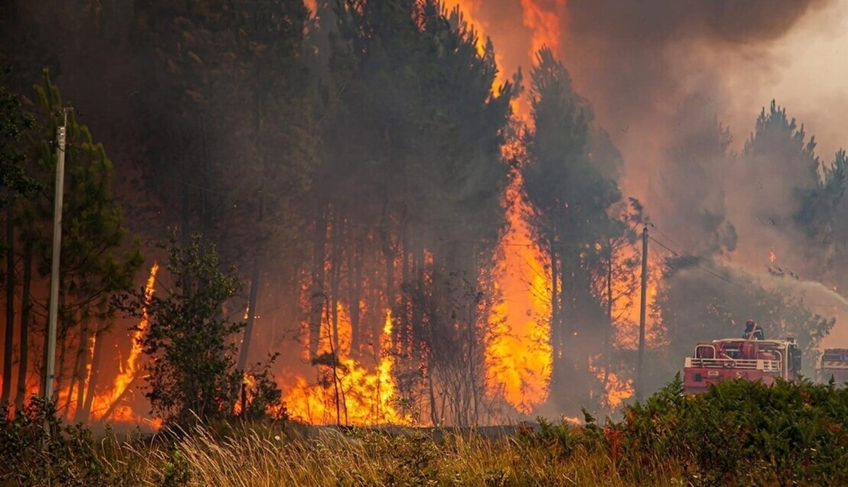 فیلم| آتش سوزی عظیم جنگل‌های شرق اسپانیا را نابود کرد