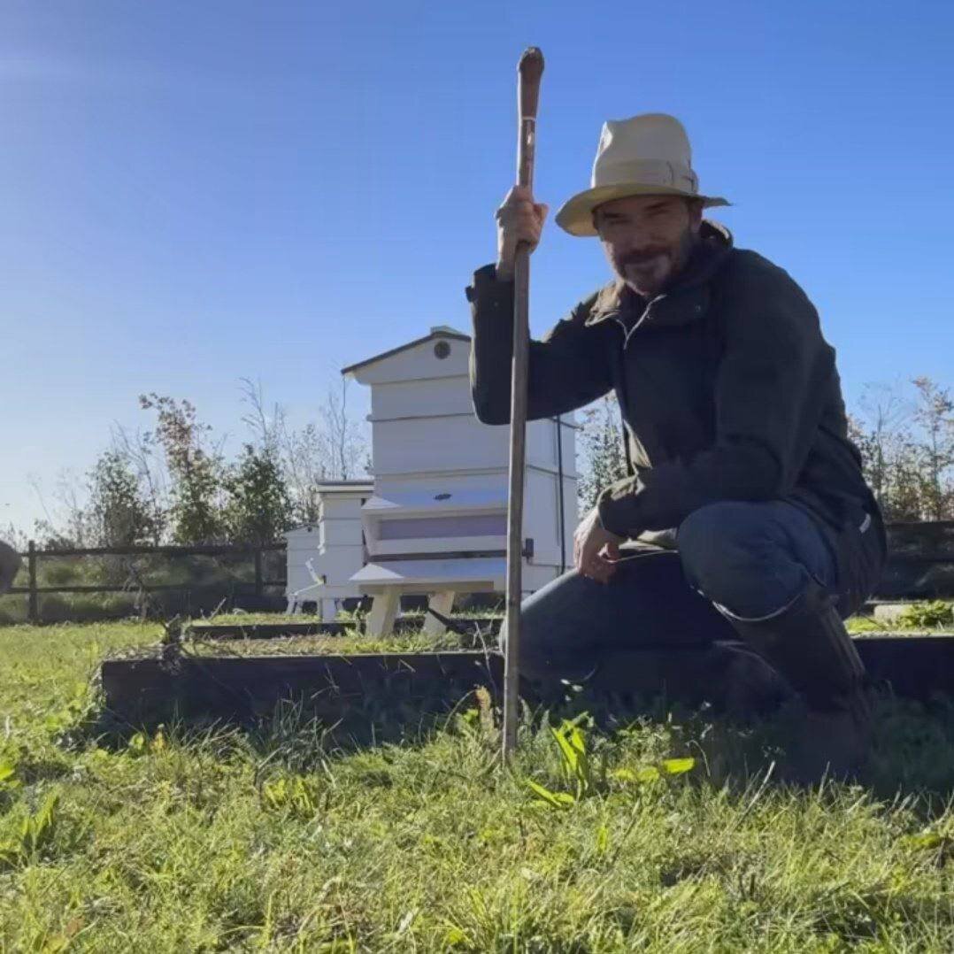 عکس| تصویر جالب دیوید بکهام وسط مزرعه با استایل کشاورزی!