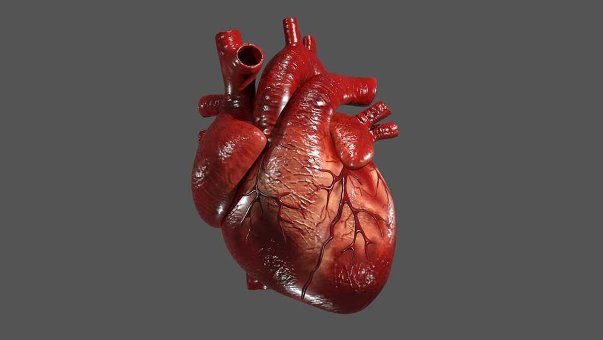 عکس| تصویری باورنکردنی از قلبِ شخصِ چاق فوت شده در اثر سکته قلبی