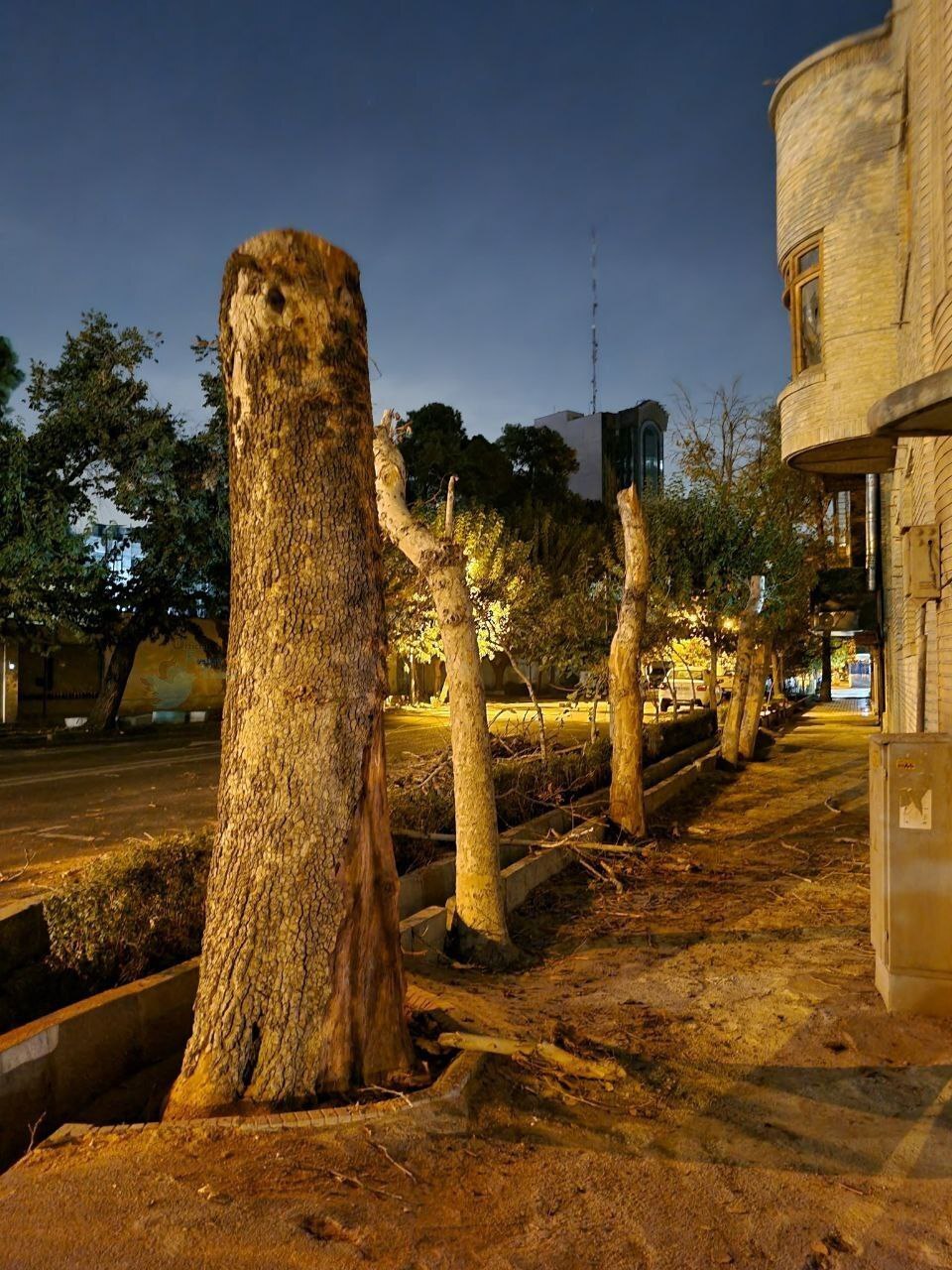عکس| قطع شبانه درختان خیابان ایتالیا در تهران