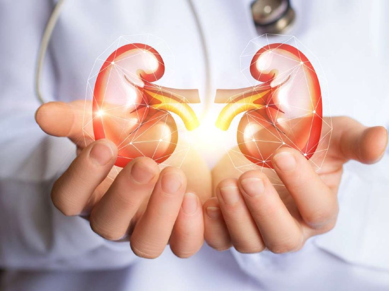 اگر از درد کلیه رنج میبرید این کار را انجام دهید