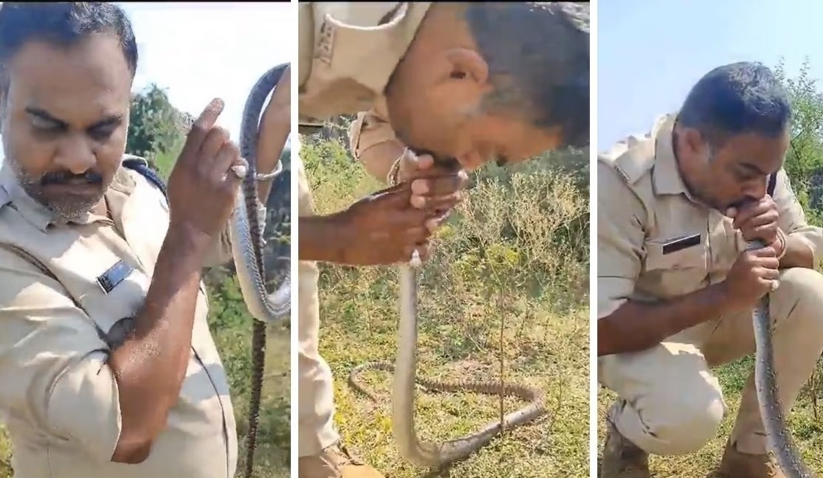 فیلم| این افسر پلیس هندی با تنفس دهان‌به‌دهان جان یک مار را نجات داد