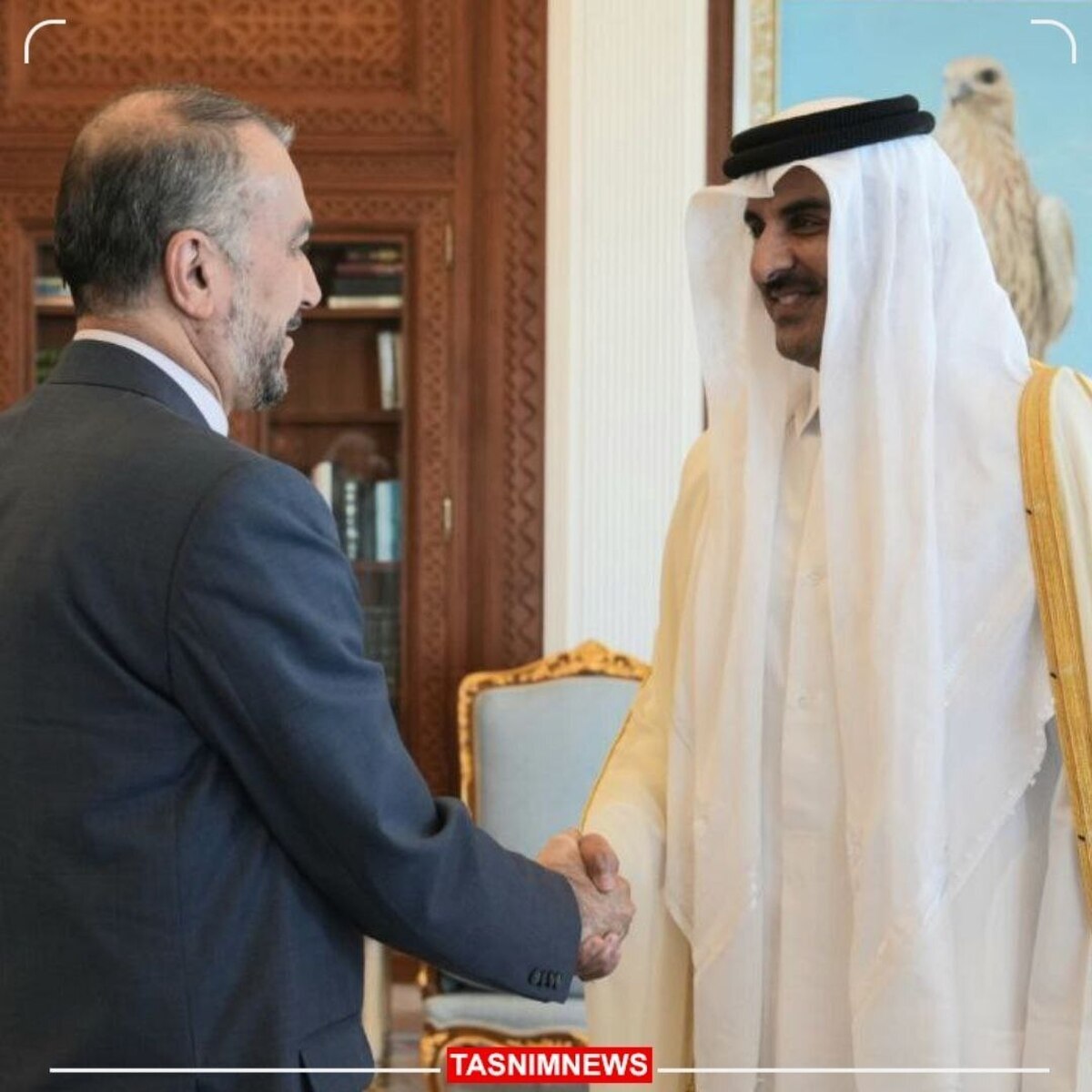 امیرعبداللهیان با امیر قطر دیدار کرد امیرعبداللهیان با امیر قطر دیدار کرد