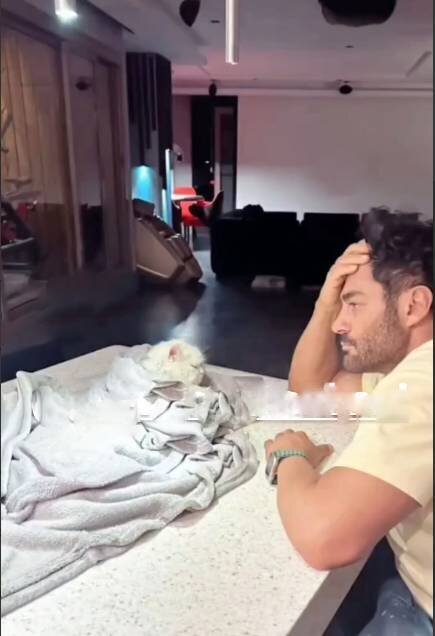 عکس| نگاه نگران محمدرضا گلزار به گربه پتو پیچ شدهاش عکس| نگاه نگران محمدرضا گلزار به گربه پتو پیچ شدهاش