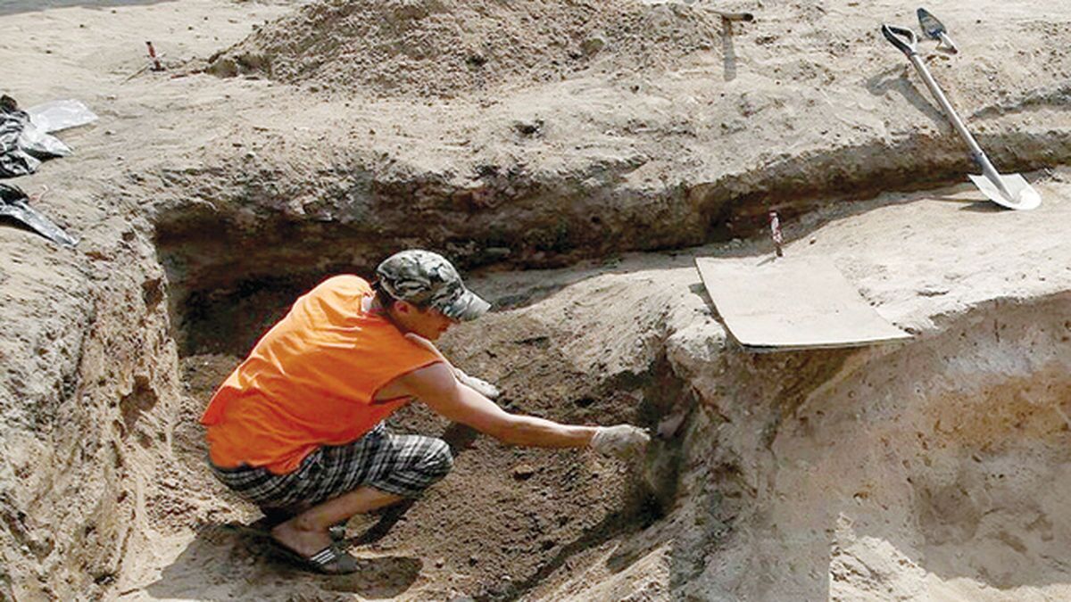 جمجمه یک شتر ۲.۵ میلیون ساله در تاجیکستان کشف شد
