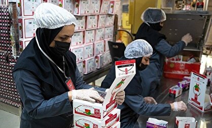 جزئیات تازه از یک فساد بزرگ و «دبش»؛ ۳ میلیارد و ۳۷۰ میلیون دلار در ایران سابقه نداشته!