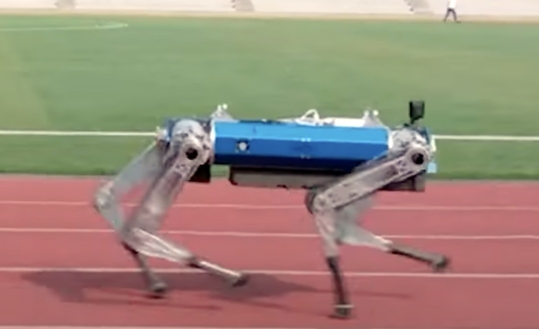 فیلم| سگ ربات رکورد گینس را در دو ۱۰۰ متر به نام خود ثبت کرد