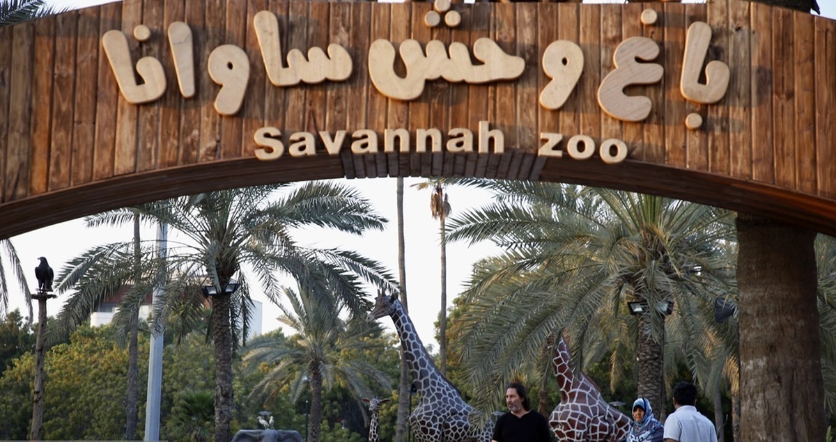 تصاویر| باغ وحش «ساوانا»