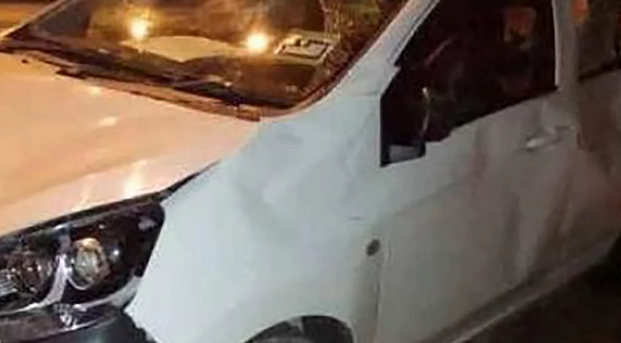 عکس| نتیجه برخورد یک بچه فیل با خودروی شما!