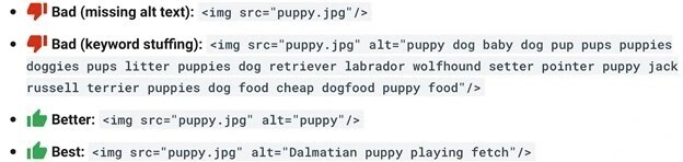 آیا تگ ALT یک فاکتور مهم برای رتبه بندی تصاویر گوگل است؟