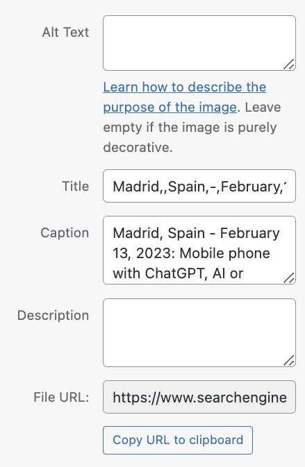 آیا تگ ALT یک فاکتور مهم برای رتبه بندی تصاویر گوگل است؟