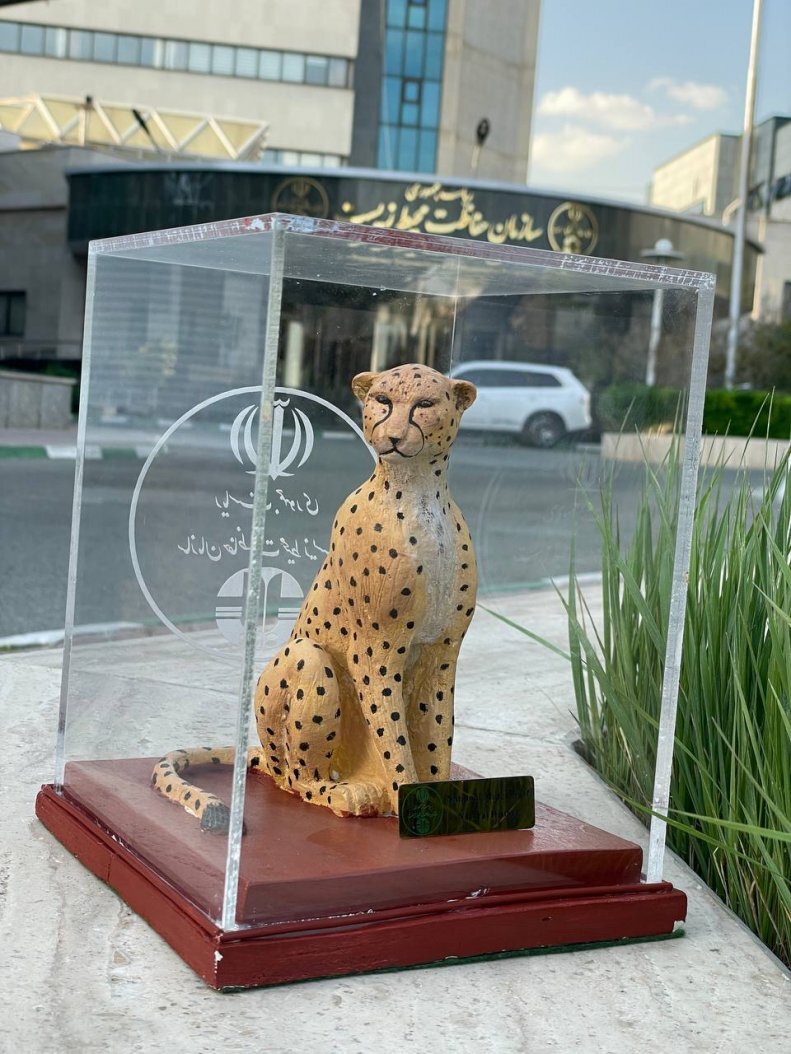 عکس| یوزپلنگی که تاج هدیه گرفت!