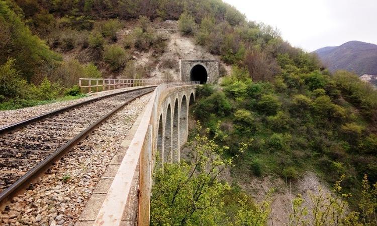 سفر با قطار به شمال: سفری به سرزمین جنگل و دریا