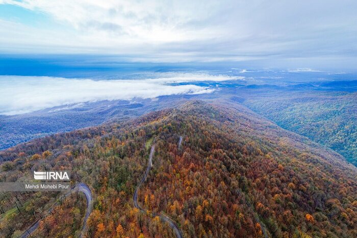شیخ موسی در بابل آزاد شد شیخ موسی در بابل آزاد شد