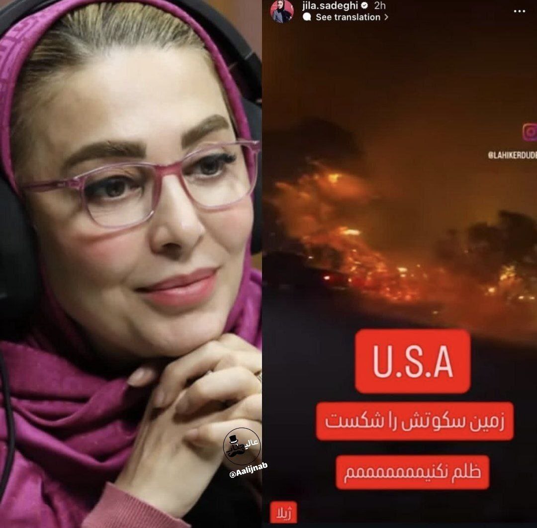 عکس/واکنش ژیلا صادقی به آتش‌سوزی لس‌آنجلس