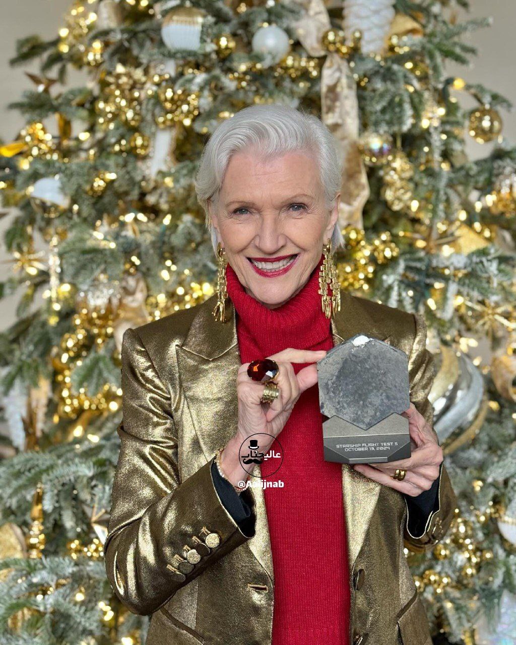 عکس/ هدیه ویژه و فضایی ایلان ماسک به مادرش در روز کریسمس