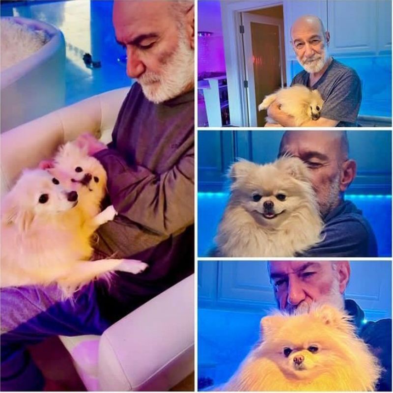 عکس/سیاوش قمیشی و سگ هایش
