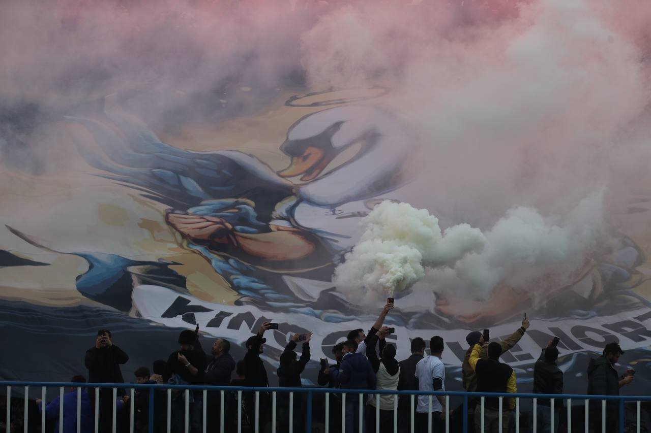 عکس/ غوغای قو در انزلی!