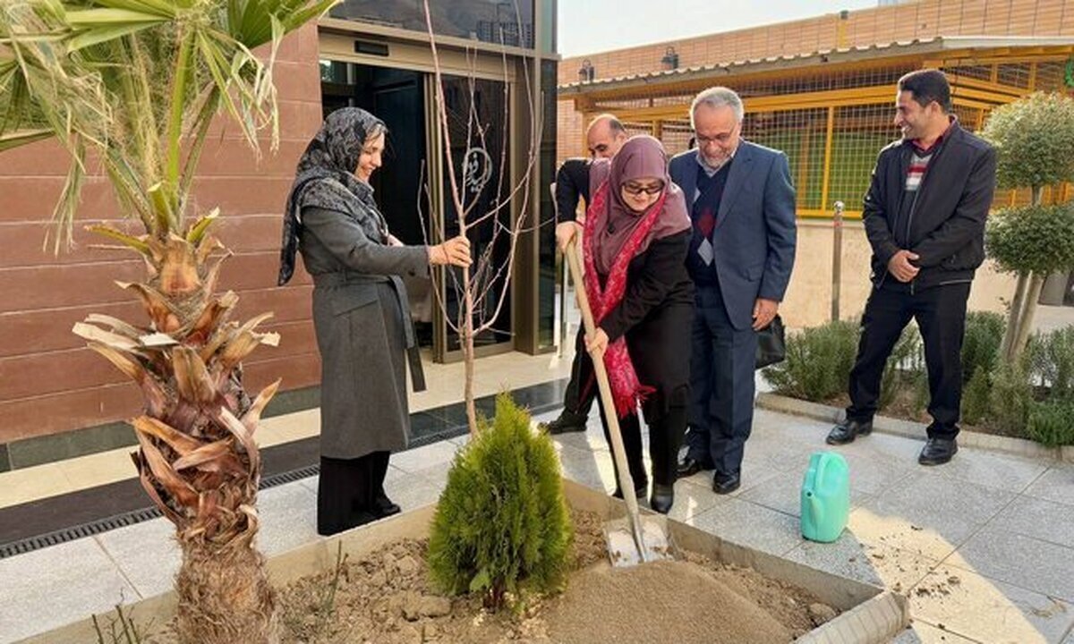 پیام سخنگوی دولت به مناسبت روز درختکاری: از اعتماد مردم بیشتر حراست کنیم