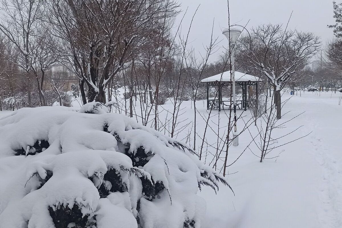 هواشناسی گیلان؛ بازگشت برف و باران