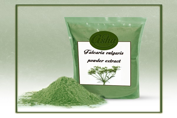 ۷ سوغاتی خوشمزه زنجان که باید حتماً امتحان کنید ۷ سوغاتی خوشمزه زنجان که باید حتماً امتحان کنید