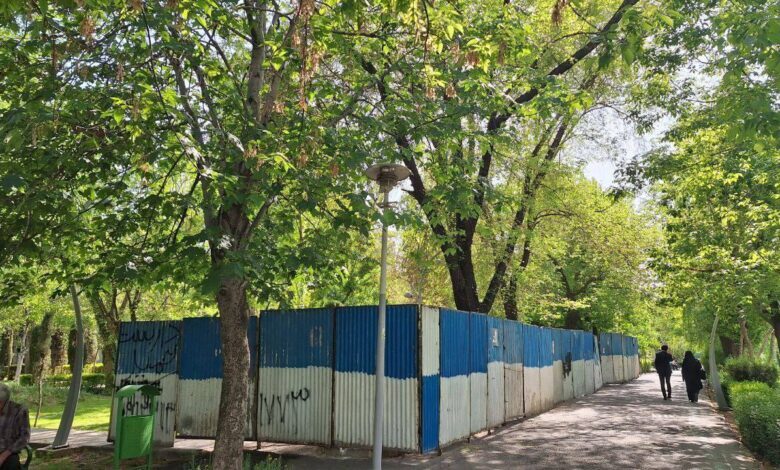 سونامی حصارکشی و درخت کشی در تهران؛ چرا شهرداری به دنبال قطع درختان است؟