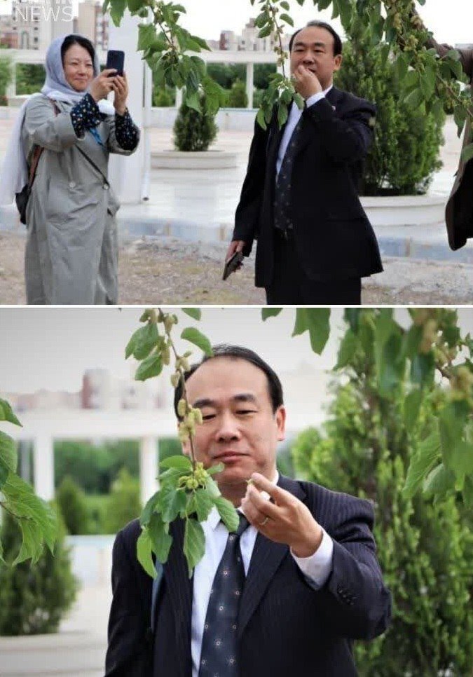 عکس| حرکت جالب چینی‌ها در حیاط دانشگاه دولتی قم