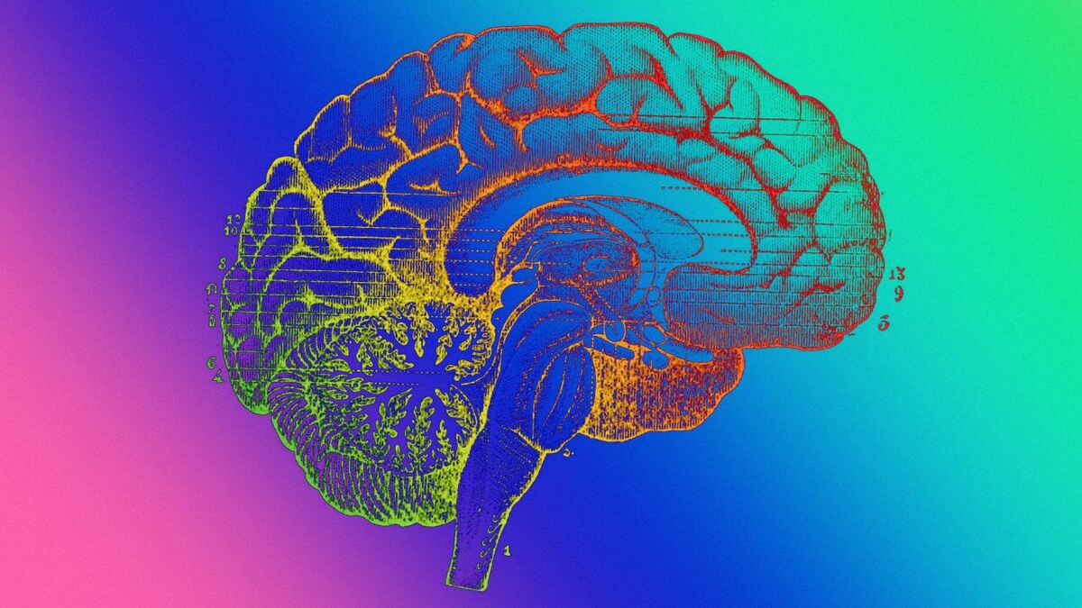 اسفناج و بادام چه تأثیری بر روی مغز دارند؟