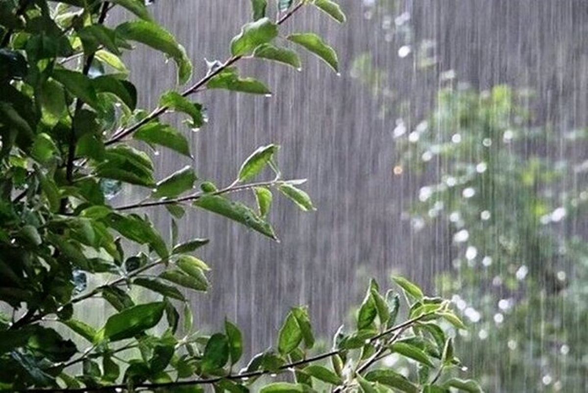 هواشناسی ۱۴۰۳/۰۳/۲۹؛ رگبار باران در ۱۵ استان / هشدار نارنجی به کشاورزان