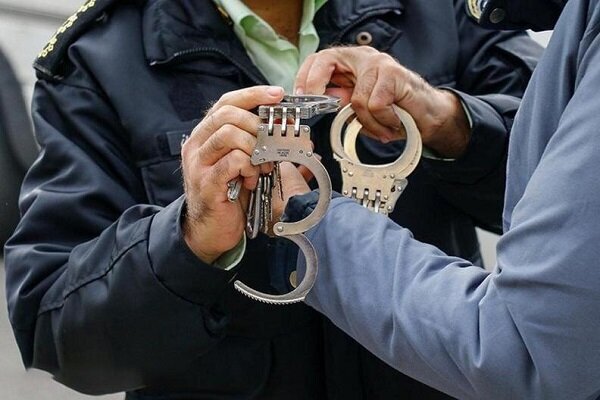 رئیس پلیس پیشگیری پایتخت از دستگیری سارق حرفه ای و سابقه دار منازل در...